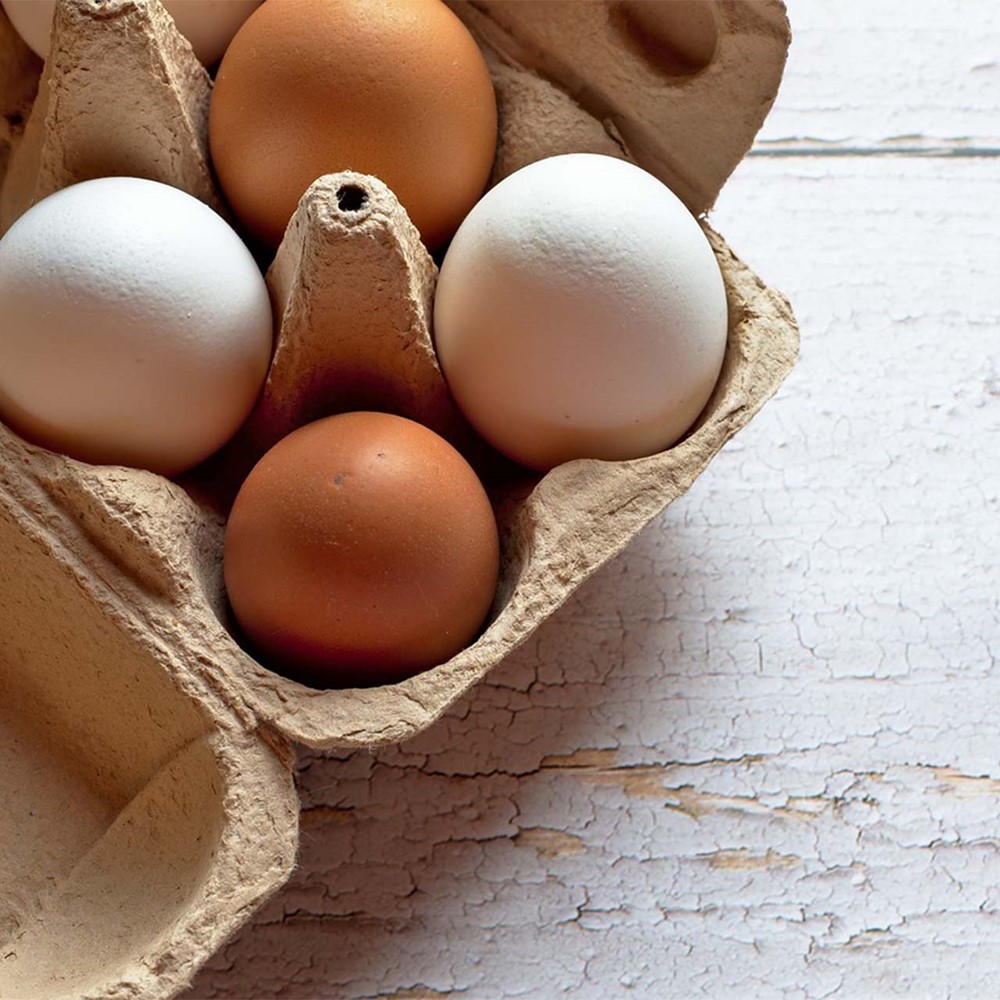 <p>Ägg i äggkartong.</p>